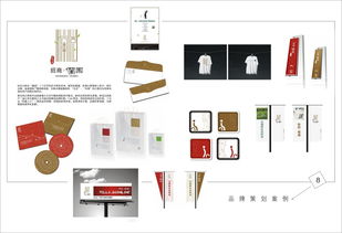 广告策划与软件开发 从样本画册到影视片的全方位服务